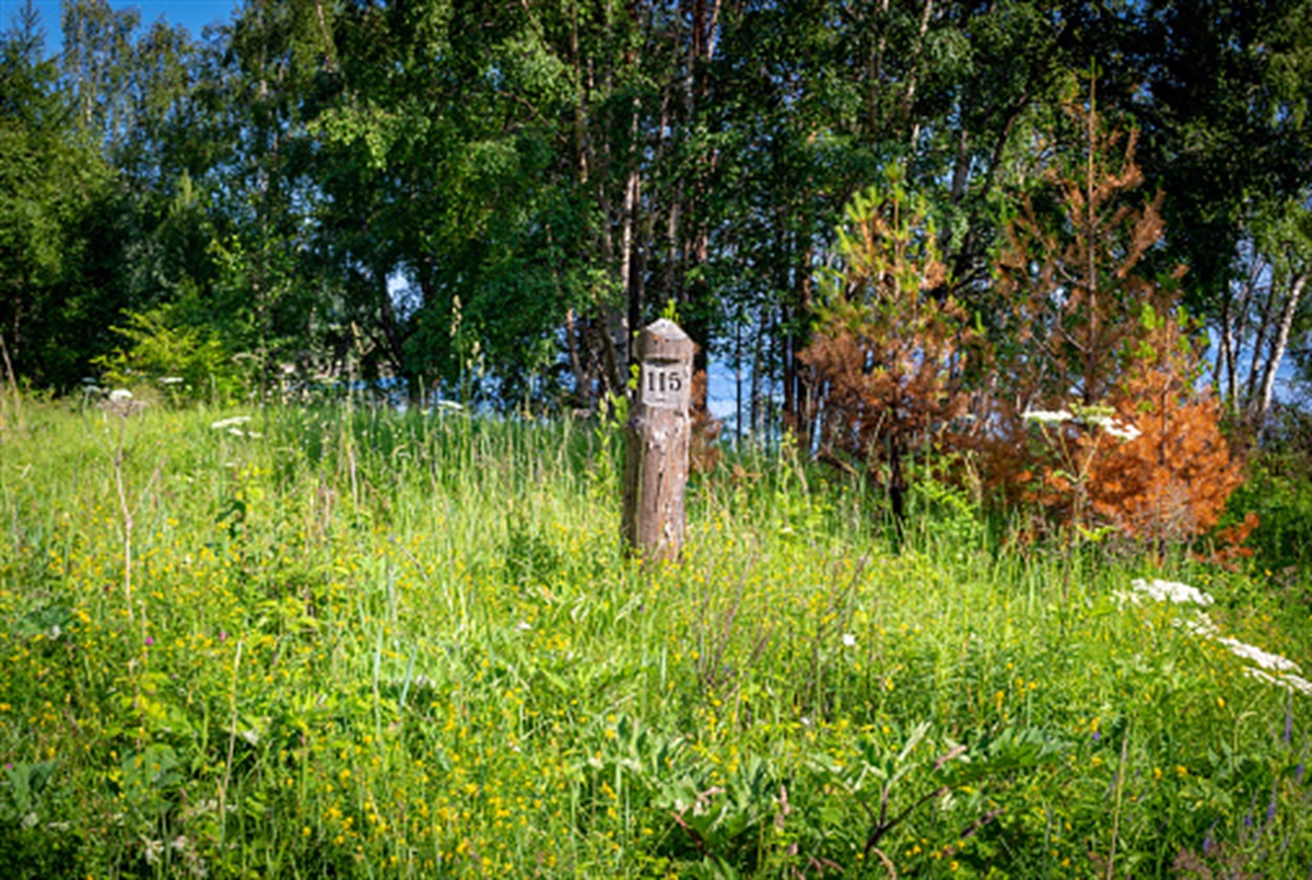 Amend Land Weld County
