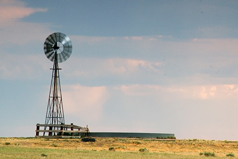 Windmill in rural Weld County 