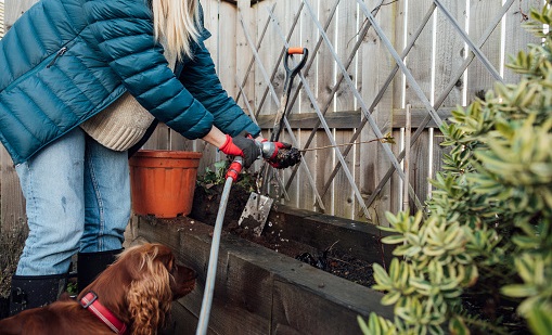 Winter Watering