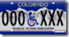 Disabled Veteran Handicapped License Plate