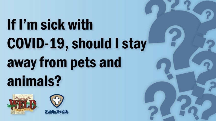 If I'm sick with COVID-19, should I stay away from pets and animals?