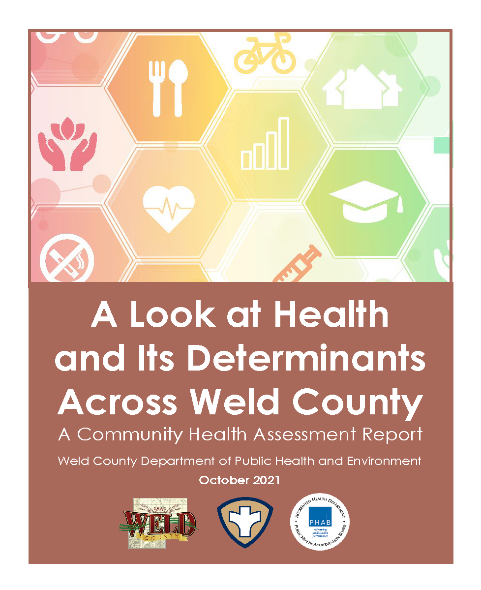 Health Determinants and Assessment Report