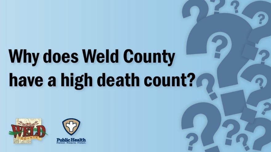 Why does Weld County have a high death count?