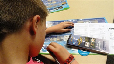 Boy Looking at Weather Information