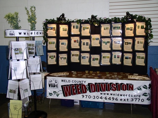 Picture of one educational display