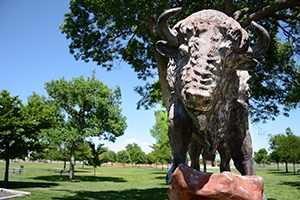A statue of a buffalo overlooks Island Grove Regional Park.