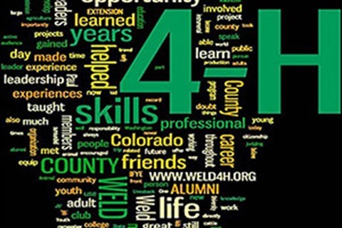 4-H Endowment Postcard photo