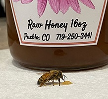 Jar of honey with bee