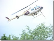 Spraying helicopter over trees