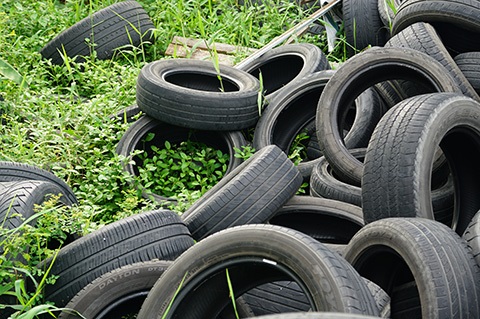 Tires in a pile with grass growing over some of them.