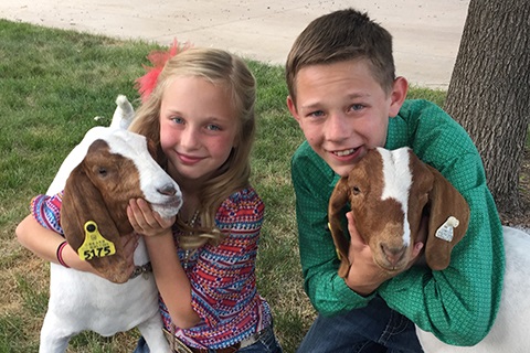 Kids with goats at the Weld County Fair