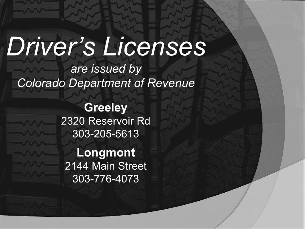 Drivers Licenses