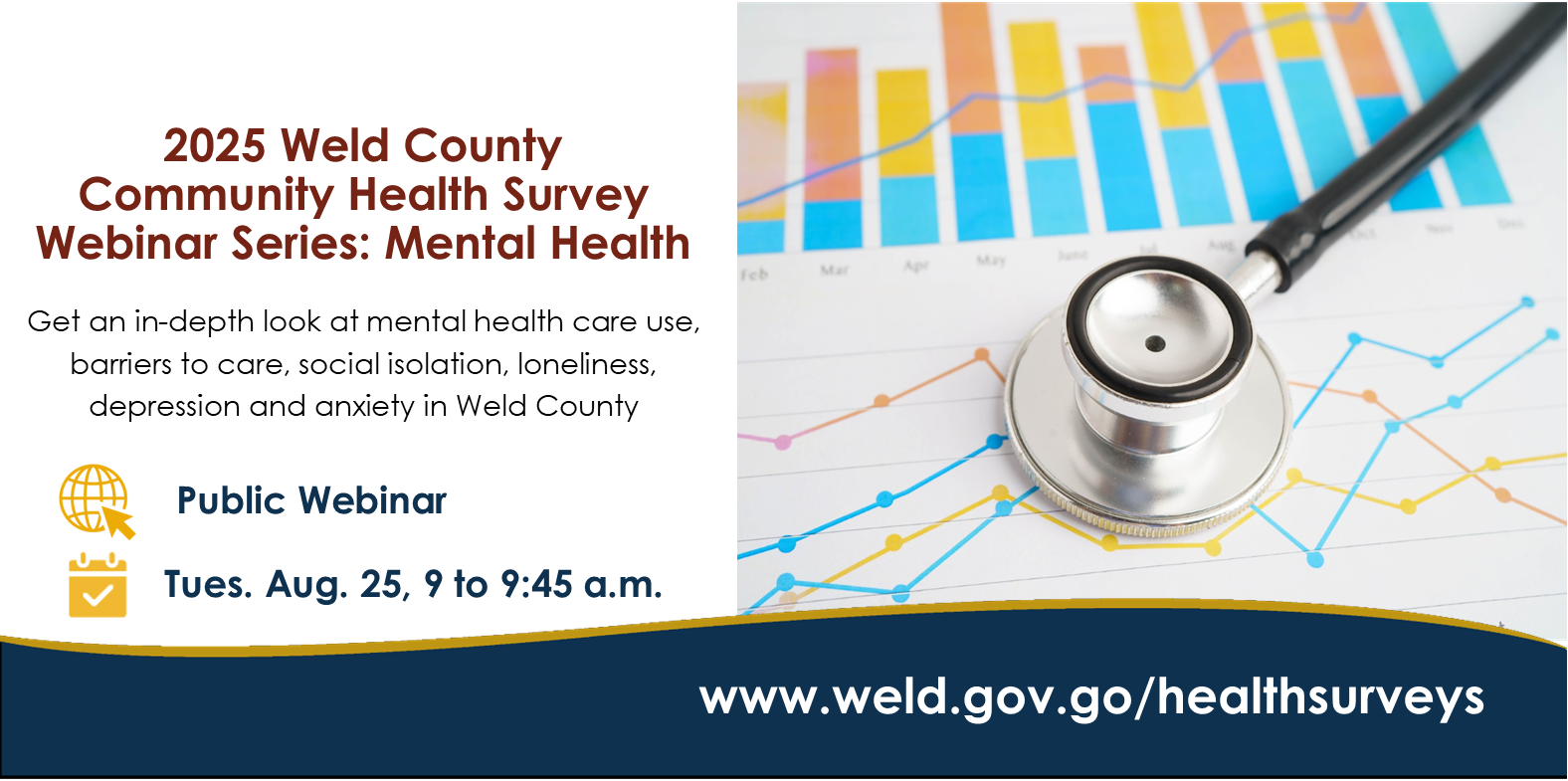 Aug web slider CHS webinar.png