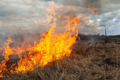 An open grass fire.